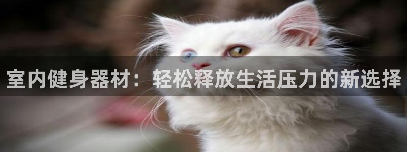 意昂4官方:室内健身器材:轻松释放生活压力的新选择