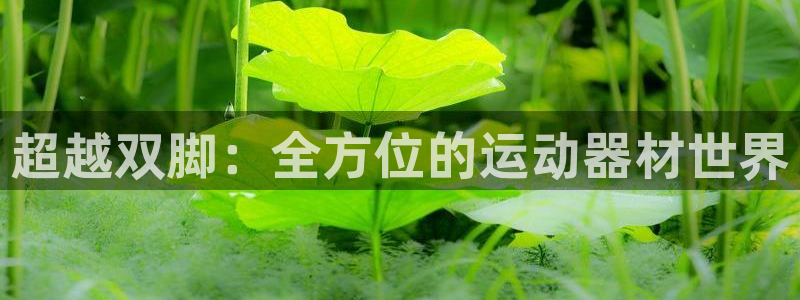 意昂4娱乐首页网站大全:超越双脚:全方位的运动器材世界