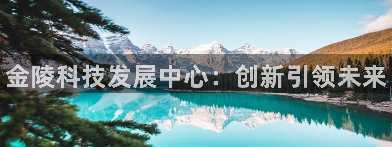意昂体育4招商:金陵科技发展中心:创新引领未来
