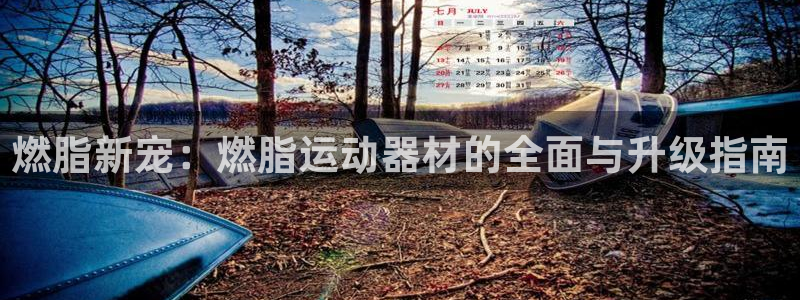 意昂体育4平台是正规平台吗安全吗:燃脂新宠:燃脂运动器材的全