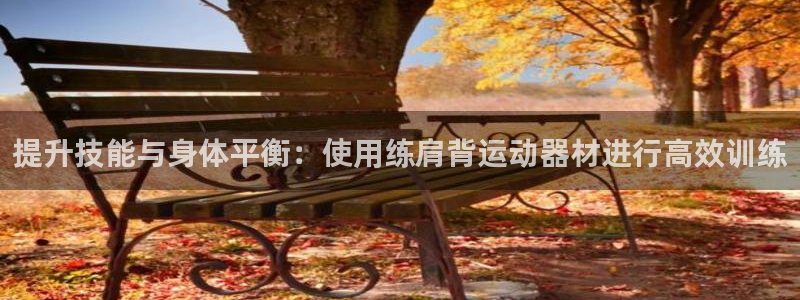 意昂体育4平台注册要钱吗:提升技能与身体平衡:使用练肩背运动